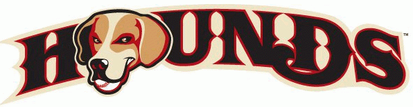 Loudoun Hounds 2014 Wordmark Logo iron on transfers for T-shirts